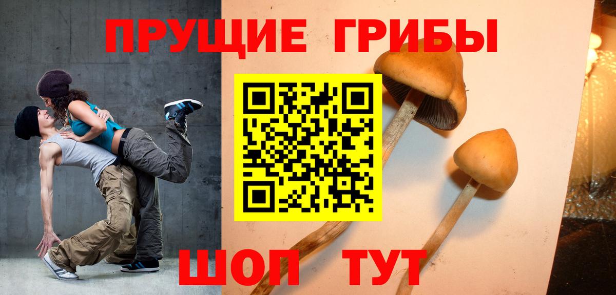 Галлюциногенные грибы Cubensis Кувандык